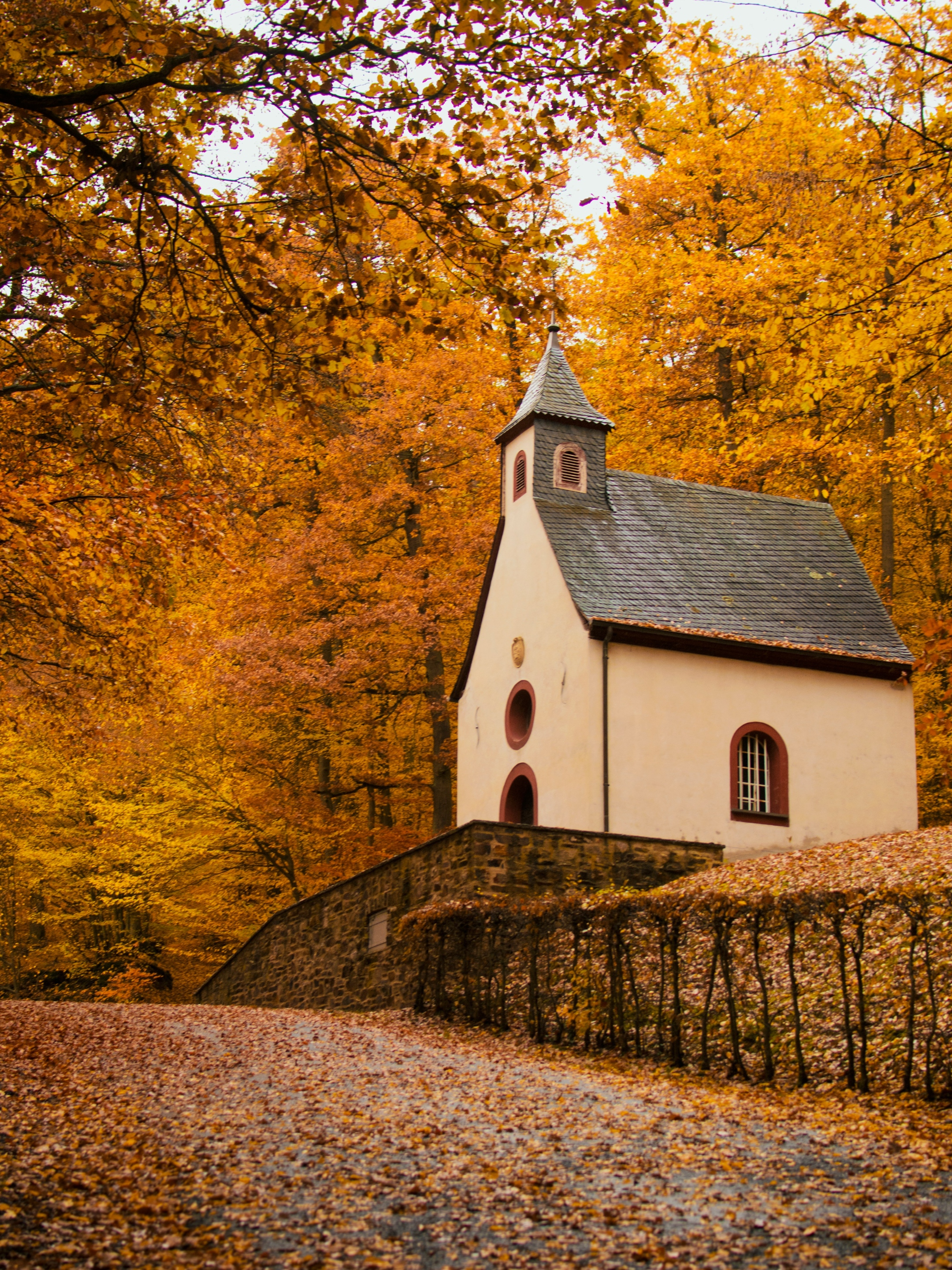 julia-solonina-aLtcC9oWdPw-unsplash Foto von Julia Solonina auf Unsplash